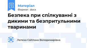 Безпека при спілкуванні з дикими та безпритульними тваринами