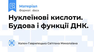 Нуклеїнові кислоти. Будова і функції ДНК.