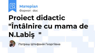 Proiect didactic  "Întâlnire cu mama de N.Labiş  "