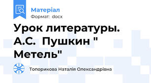 Урок литературы.  А.С.  Пушкин " Метель"
