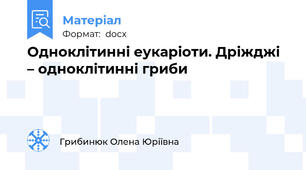 Одноклітинні еукаріоти. Дріжджі – одноклітинні гриби