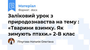 Заліковий урок з природознавства на тему : «Тварини взимку. Як зимують птахи.» 2-В клас