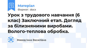 Урок з трудового навчання (6 клас) Заключний етап. Догляд за білизняними виробами. Волого-теплова обробка.