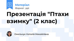 Презентація "Птахи взимку" (2 клас)