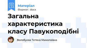 Загальна характеристика класу Павукоподібні