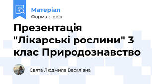 Презентація  "Лікарські рослини" 3 клас Природознавство