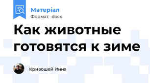 Как животные готовятся к зиме