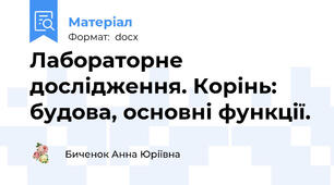 Лабораторне дослідження. Корінь: будова, основні функції.