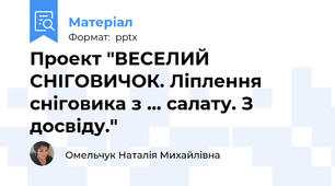 Проект "ВЕСЕЛИЙ СНІГОВИЧОК. Ліплення сніговика з ... салату. З досвіду."