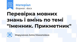Перевірка мовних знань і вмінь по темі "Іменник. Прикметник"