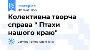 Колективна творча справа " Птахи нашого краю"