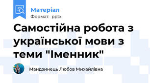 Самостійна робота з української мови з теми "Іменник"