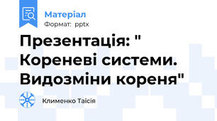Презентація: " Кореневі системи. Видозміни кореня"