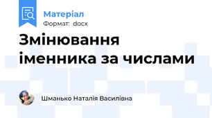 Змінювання іменника за числами