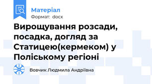 Вирощування розсади, посадка, догляд за Статицею(кермеком) у Поліському регіоні