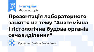 Презентація лабораторного заняття на тему "Анатомічна і гістологічна будова органів сечовиділення"