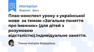 План-конспект уроку з української мови  за темою «Загальне поняття про іменник» (для дітей з розумовою відсталістю).Індивідуальне заняття.