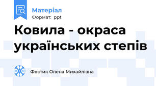 Ковила - окраса українських степів