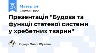 Презентація "Будова та функції статевої системи у хребетних тварин"