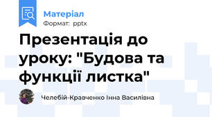 Презентація до  уроку: "Будова та функції листка"