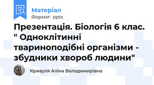 Презентація. Біологія 6 клас. " Одноклітинні твариноподібні організми - збудники хвороб людини"