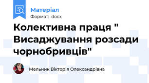 Колективна праця " Висаджування розсади чорнобривців"