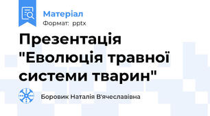 Презентація  "Еволюція травної системи тварин"