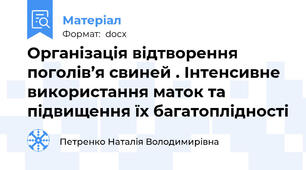 Організація відтворення поголів’я свиней . Інтенсивне використання маток та підвищення їх багатоплідності