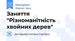 Заняття "Різноманітність хвойних дерев"