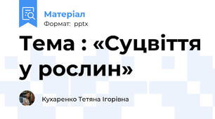 Тема : «Суцвіття у рослин»