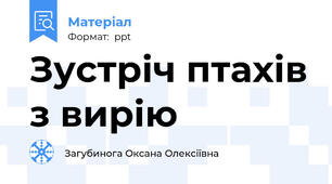 Зустріч птахів з вирію