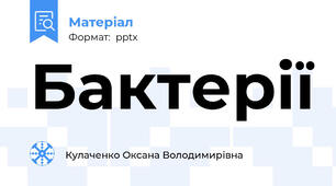 Бактерії