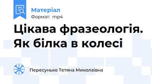Цікава фразеологія. Як білка в колесі