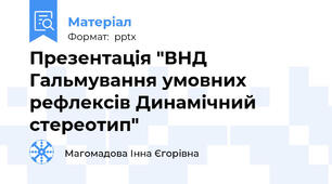 Презентація "ВНД Гальмування умовних рефлексів Динамічний стереотип"