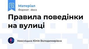 Правила поведінки на вулиці