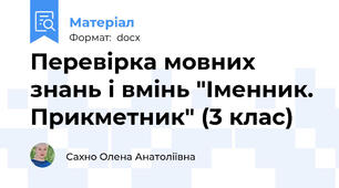 Перевірка мовних знань і вмінь "Іменник. Прикметник" (3 клас)