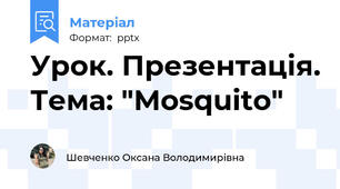 Урок. Презентація. Тема: "Mosquito"