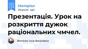 Презентація. Урок на розкриття дужок раціональних чмчел.