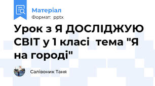 Урок з Я ДОСЛІДЖУЮ СВІТ у 1 класі  тема "Я на городі"