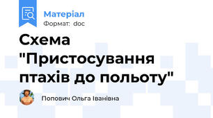 Схема "Пристосування птахів до польоту"