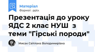 Презентація до уроку ЯДС 2 клас НУШ  з теми "Гірські породи"