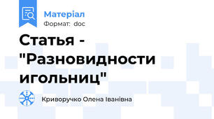 Статья - "Разновидности игольниц"
