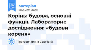 Корінь: будова, основні функції. Лабораторне дослідження: «будови  кореня»