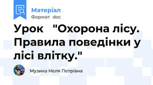 Урок   "Охорона лісу. Правила поведінки у лісі влітку."