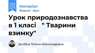 Урок природознавства в 1 класі   " Тварини взимку"