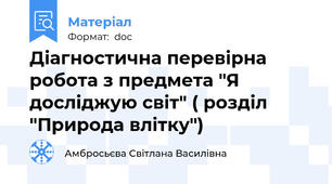 Діагностична перевірна робота з предмета "Я досліджую світ" ( розділ "Природа влітку")