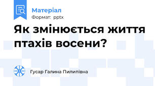 Як змінюється життя птахів восени?