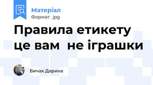 Правила етикету це вам  не іграшки