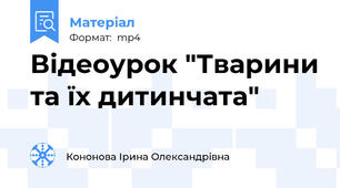 Відеоурок "Тварини та їх дитинчата"