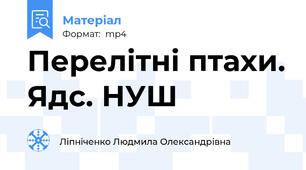 Перелітні птахи. Ядс. НУШ